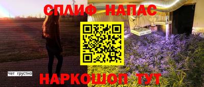 МДПВ Краснознаменск