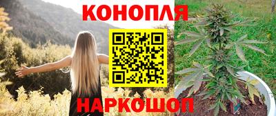 МДПВ Краснознаменск