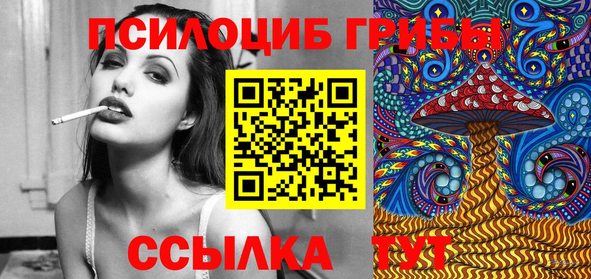 Псилоцибиновые грибы GOLDEN TEACHER  Псилоцибиновые грибы Magic Shrooms  Клин  Вход с VPN 